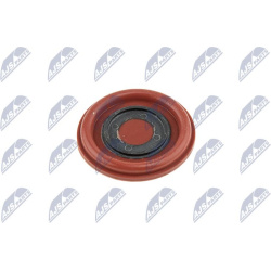  membrana, karterio alsuoklis