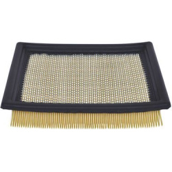  oro filtras
