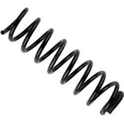  spyruoklė <small>BILSTEIN - B3 OE Replacement</small>