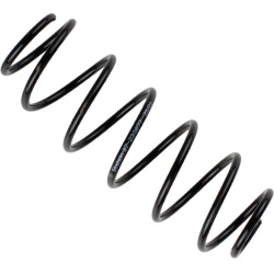  spyruoklė <small>BILSTEIN - B3 OE Replacement</small>