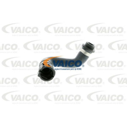  radiatoriaus žarna <small>Q+, original equipment manufacturer quality</small>
