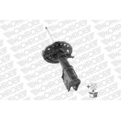  amortizatorius